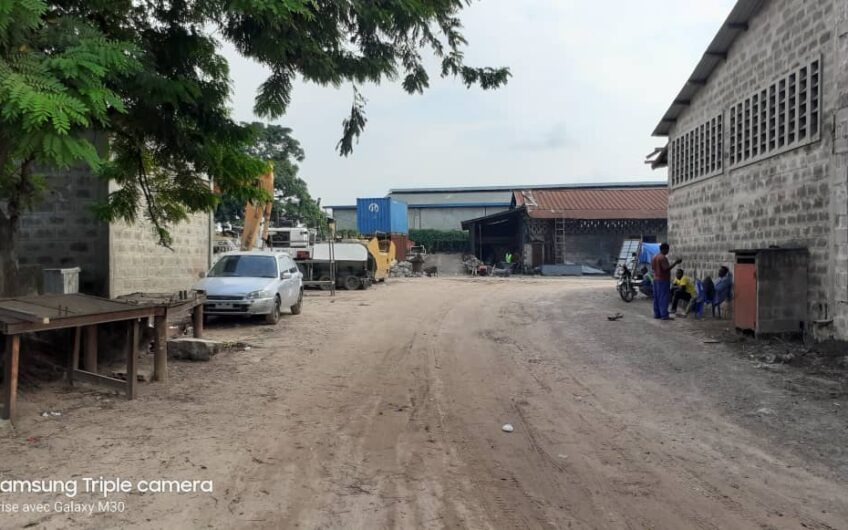 une concession a vendre dans la ville de Kinshasa a Kingabwa