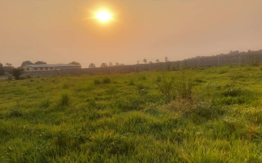une concession de 3 ha a vendre a Kinshasa a nseler sur une route principale