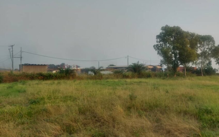 une concession de 3 ha a vendre a Kinshasa a nseler sur une route principale