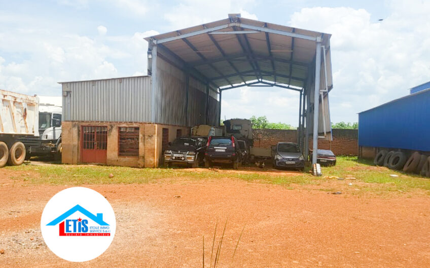 Dépôt de carburant à Vendre à Lubumbashi