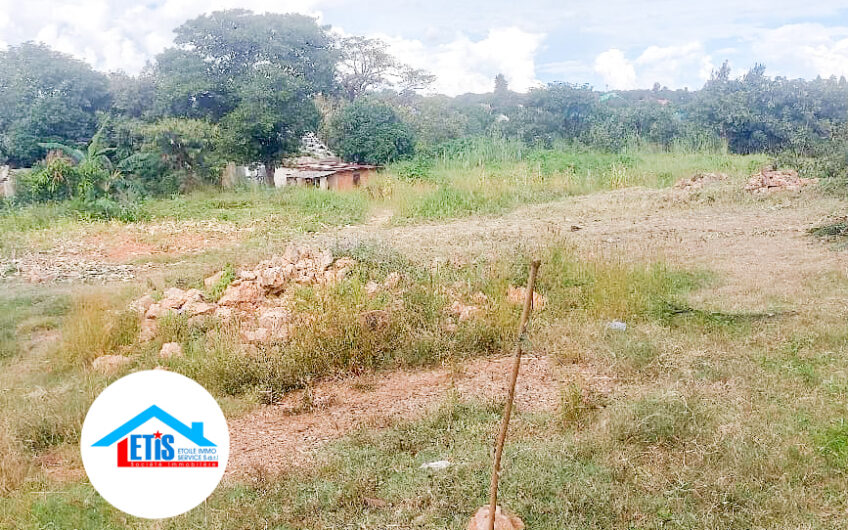 Terrain en vente