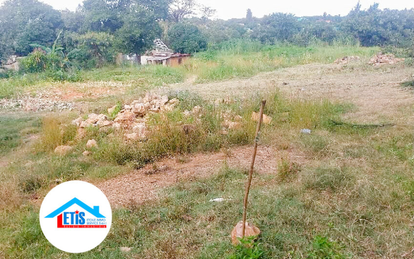 Terrain en vente