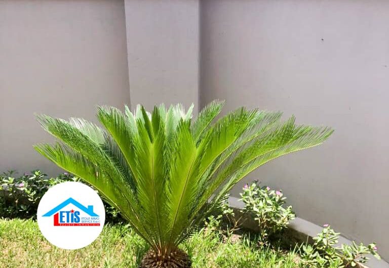 Appartement meublé a louer à Lubumbashi Golf Malela