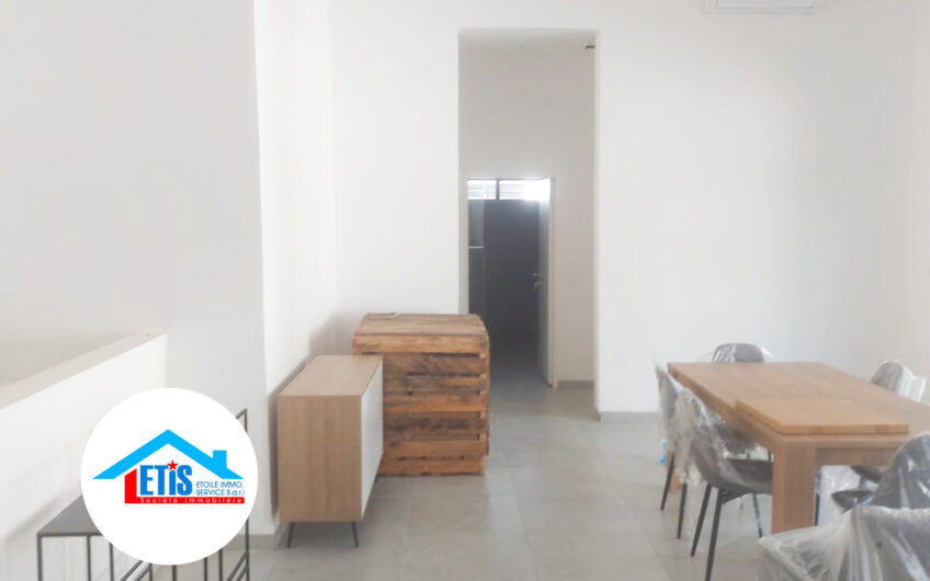 Appartement meublé à louer