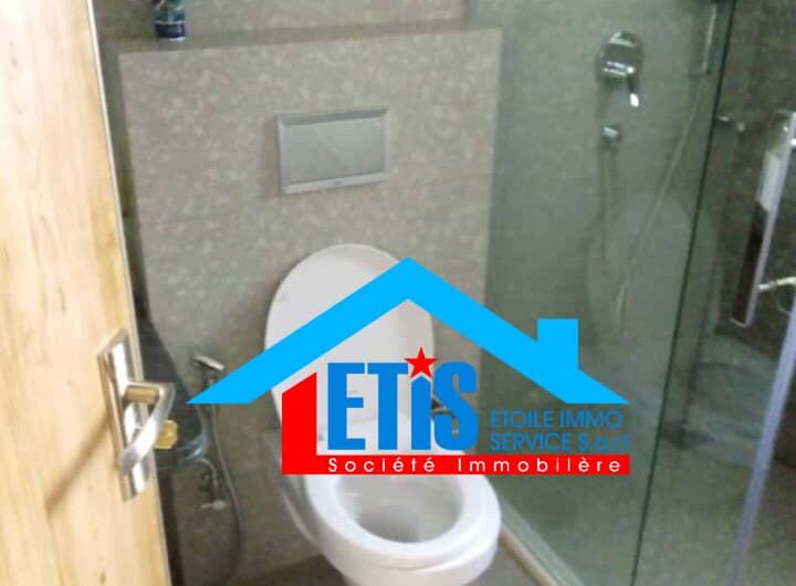 appartement type villa a Louer dans la ville de Kolwezi
