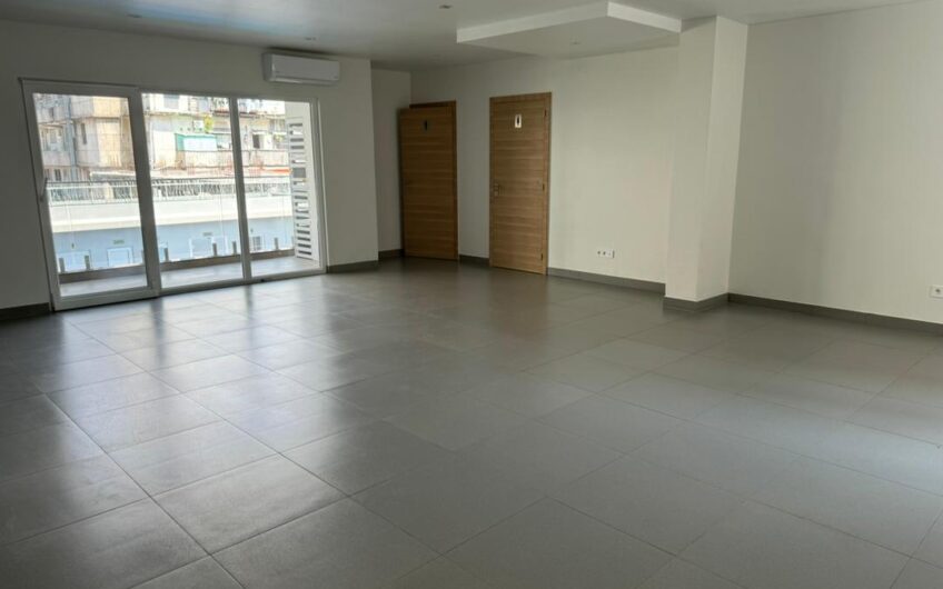 Maison a vendre ville de Kinshasa non loin de rotana hotel avec piscine