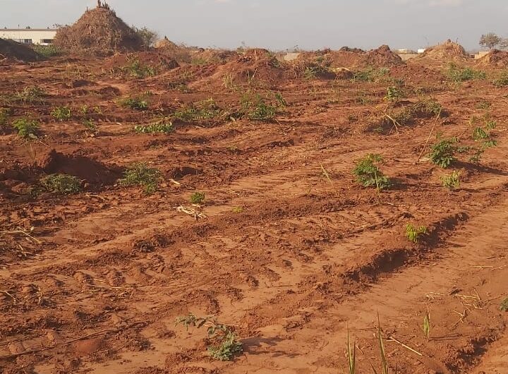 Concession de 2,60 ha a vendre dans la ville de Lubumbashi quartier industrielle route de contournement