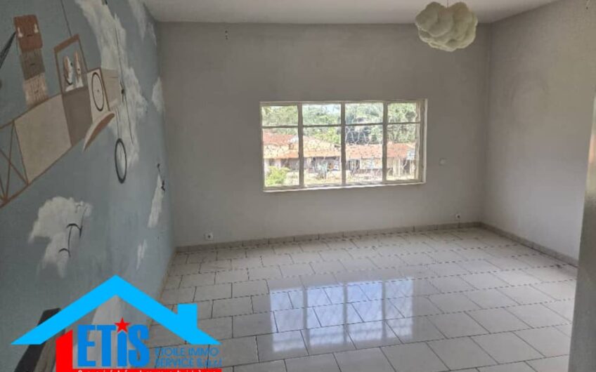 Maison à louer avec Piscine  dans la ville de lubumbashi/ Tout pour la RDC