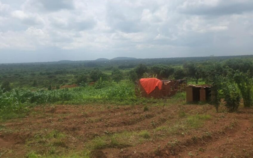 Concession a vendre a Kashamata non loin du cimetière Kasamba