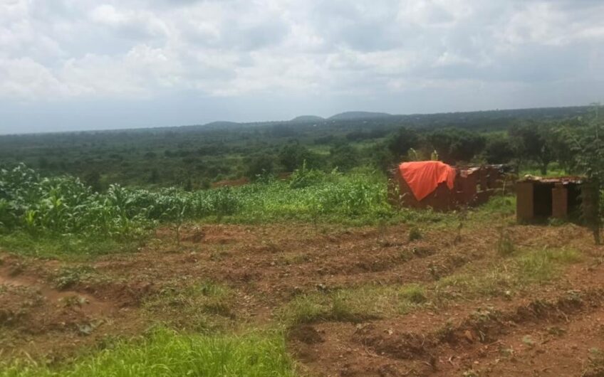Concession a vendre a Kashamata non loin du cimetière Kasamba