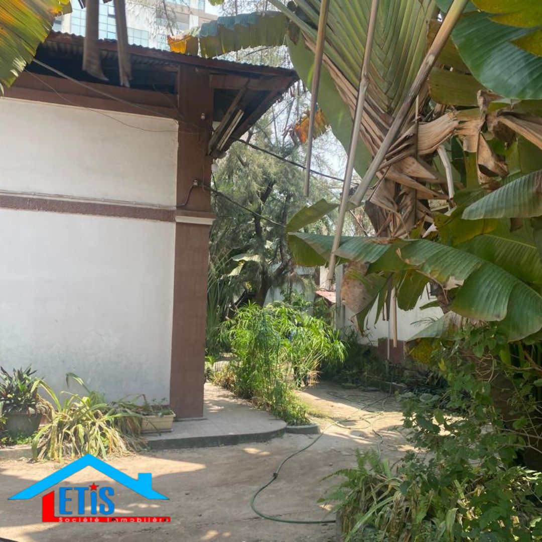 Maison a vendre dans la ville de la Gombe  d'une superficie de 3000 M²